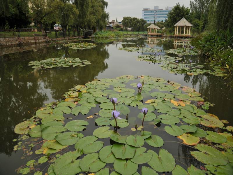 调整大小 DSC_1440.jpg