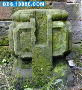 20110205196.jpg