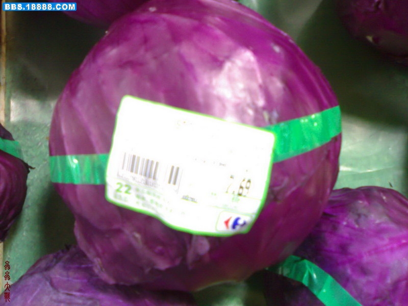 20110227386_调整大小.jpg