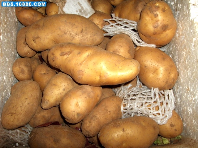 DSCF6386.jpg