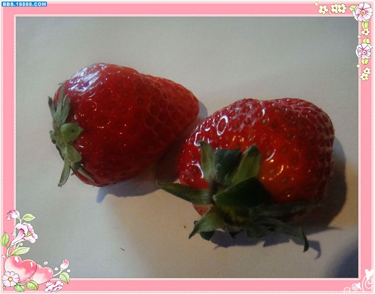 0草莓.jpg