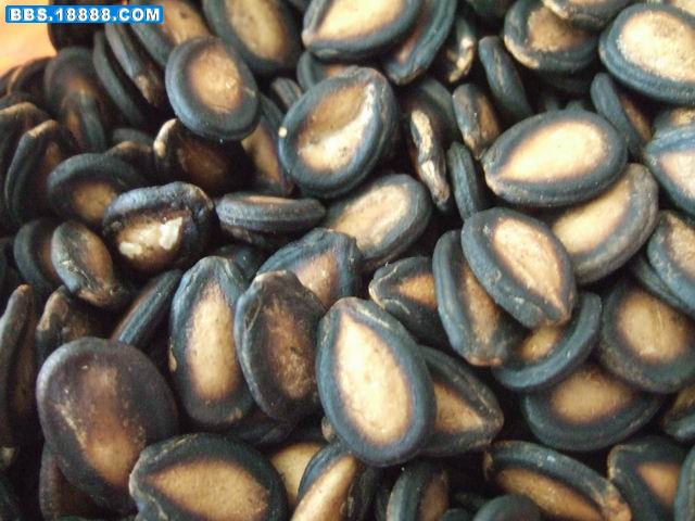 调整大小 DSCF5547.JPG