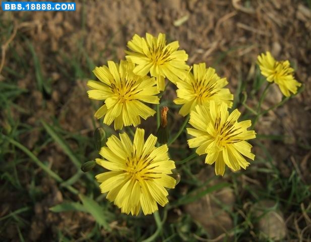 调整大小 380_84572_ee89f8f73c2a3fb.jpg