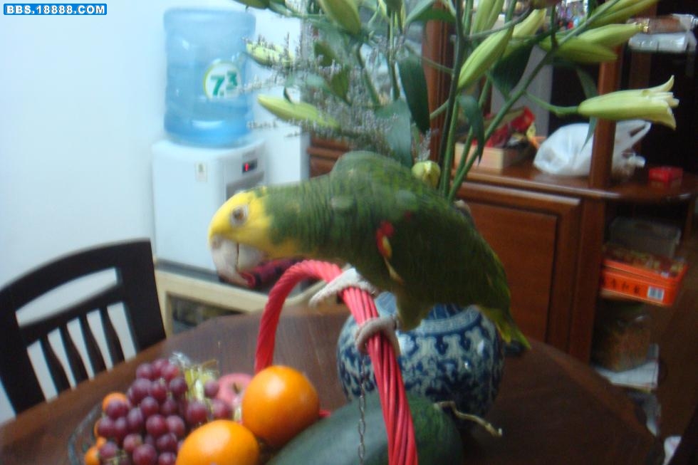 DSC06338.JPG