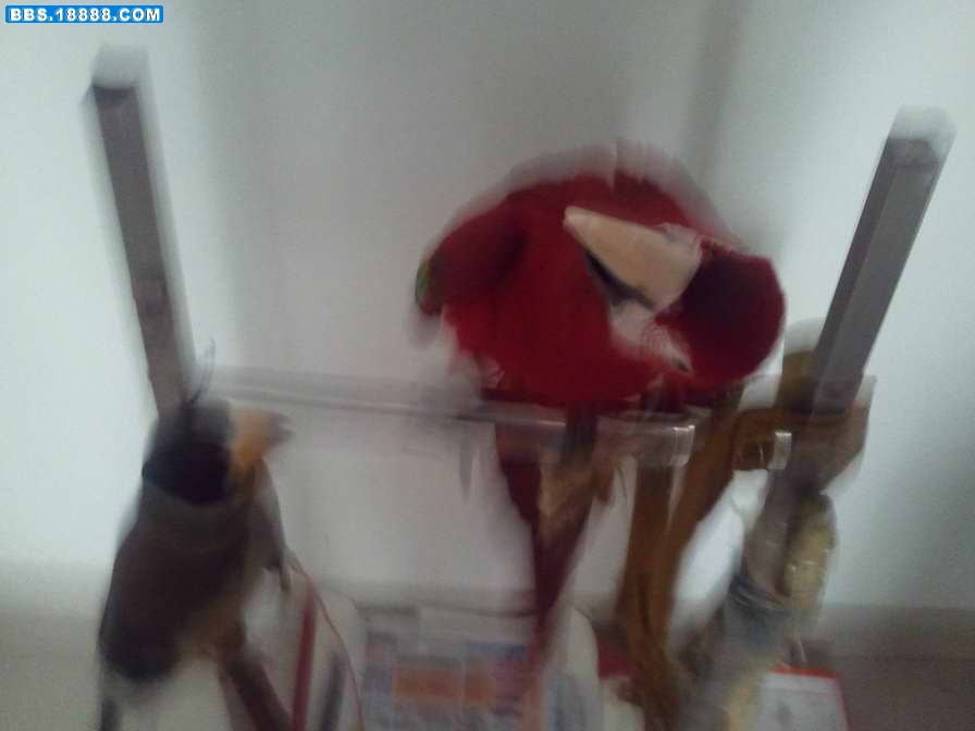 照片0315.jpg