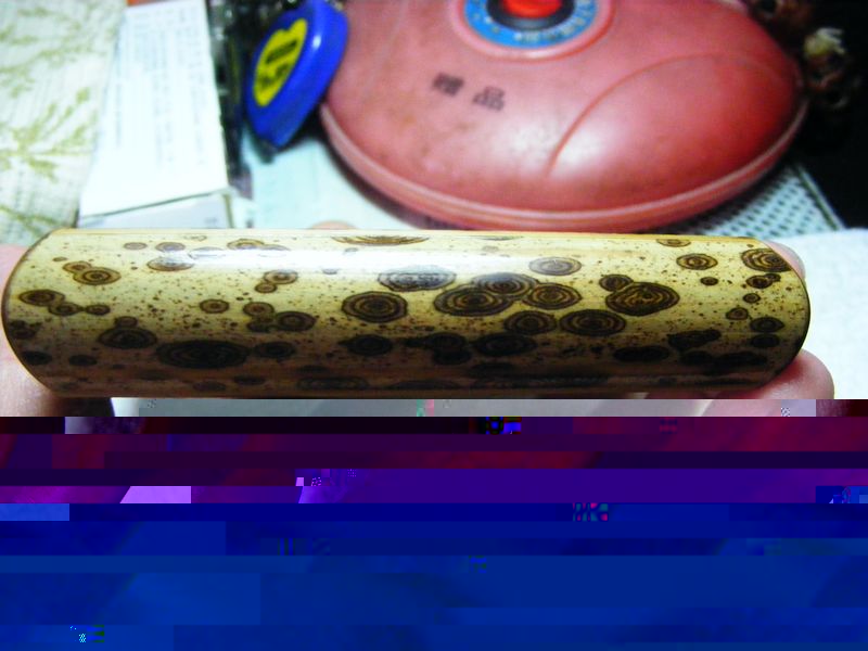 DSCF0111.JPG