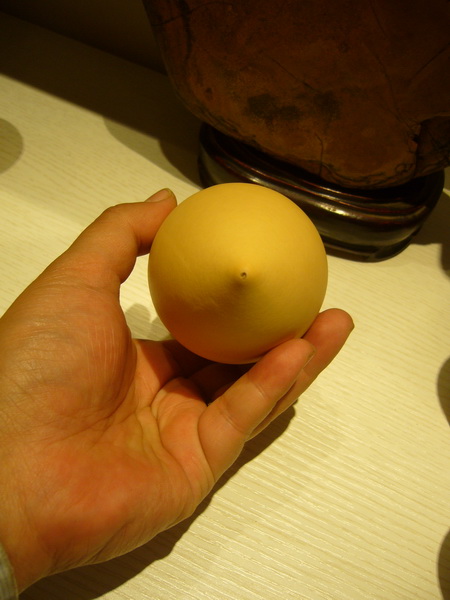 P1240659_调整大小.JPG
