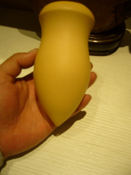 P1240658_调整大小.JPG