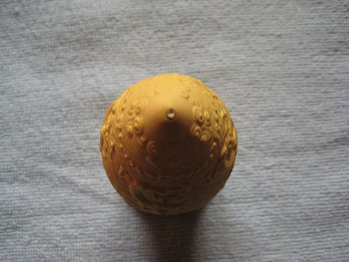 照片 500.jpg