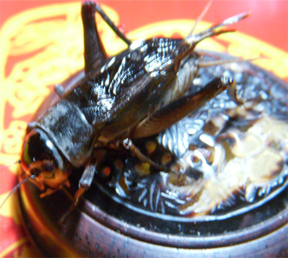 DSCN1721_副本.jpg