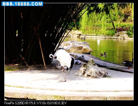 DSCF0595.jpg