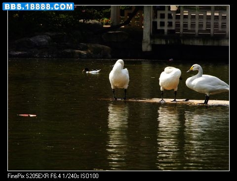 DSCF0421.jpg