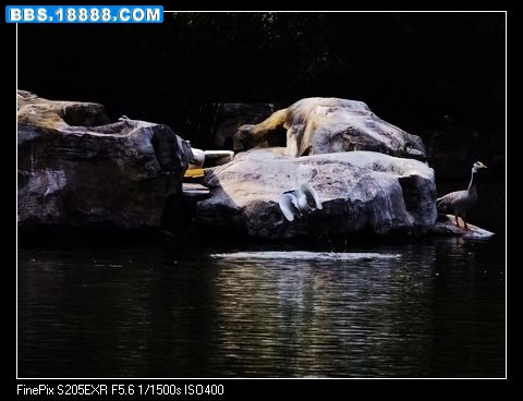 DSCF0518.jpg