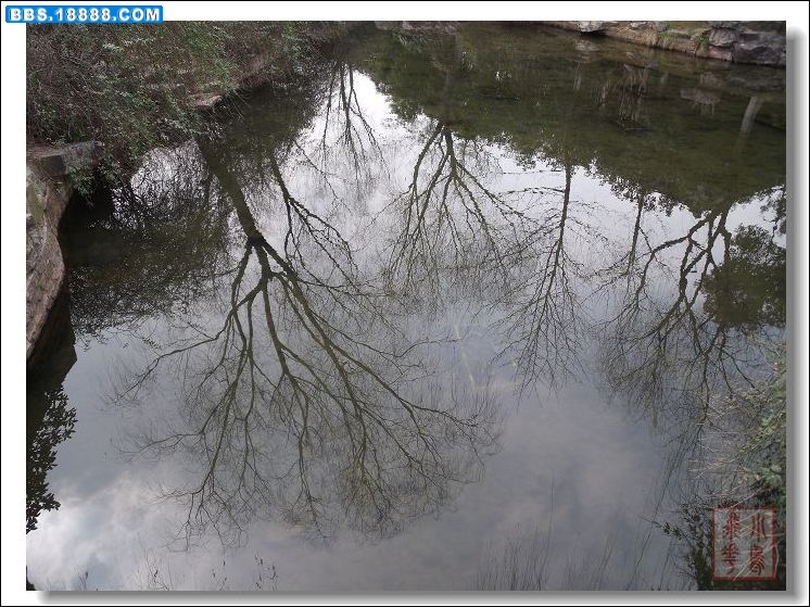 DSCF5654.jpg
