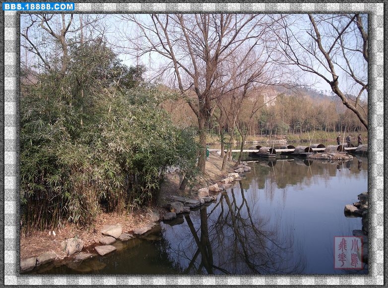 DSCF5353.jpg