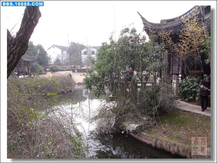 DSCF5658.jpg
