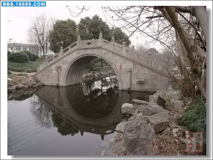 DSCF0675.jpg