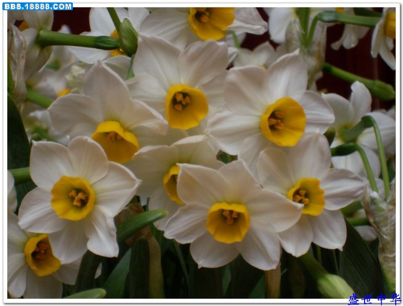 nEO_IMG_SL380006.jpg