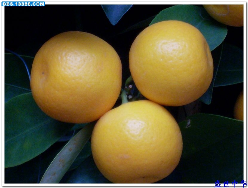 nEO_IMG_SL380036.jpg