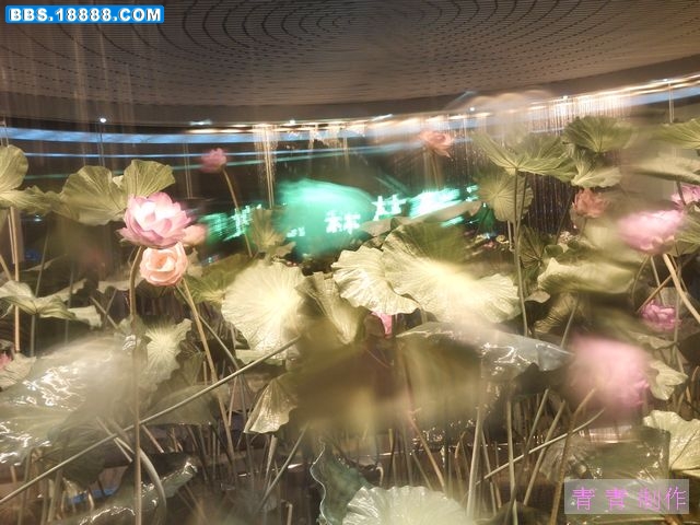 nEO_IMG_PICT1888.jpg