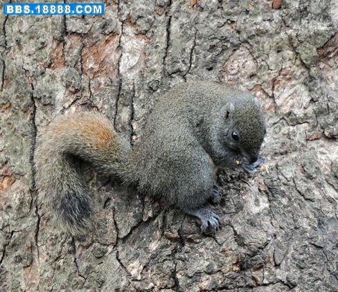 DSC_0807.jpg