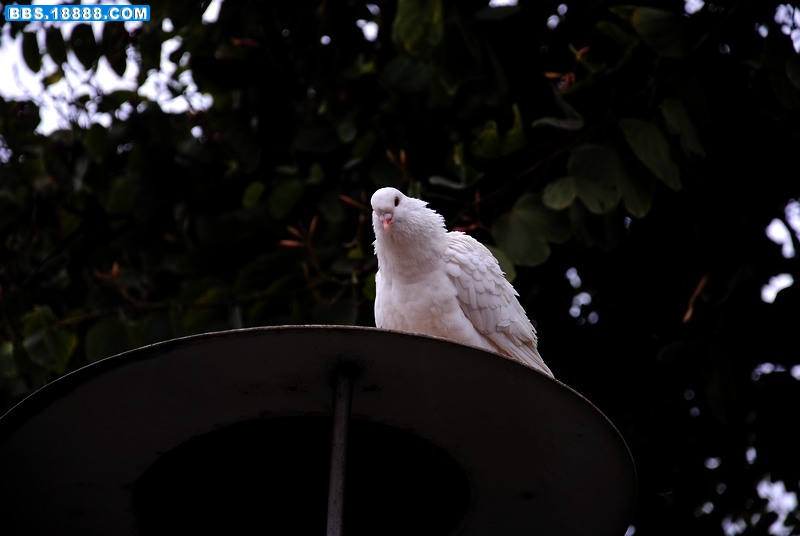 DSC_0057.JPG