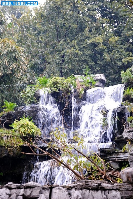 DSC_0095.JPG