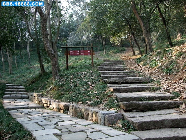 DSCF6278.jpg