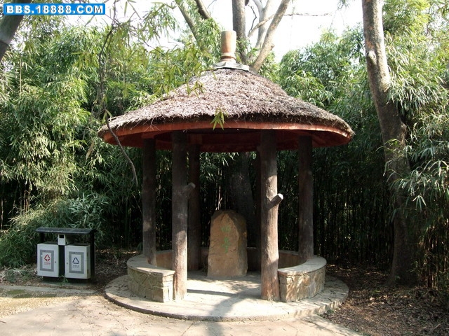 DSCF6170.jpg