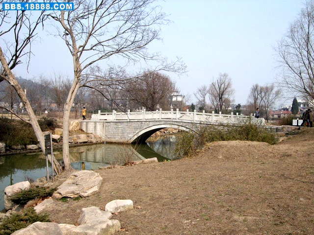 DSCF6127.jpg