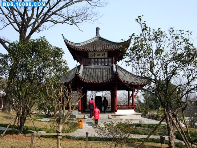 DSCF6200.jpg