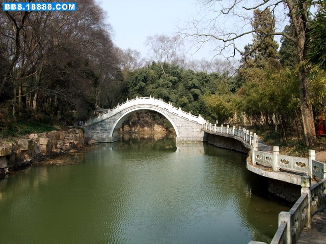 DSCF6181.jpg