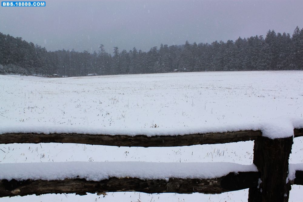 12雪景.jpg