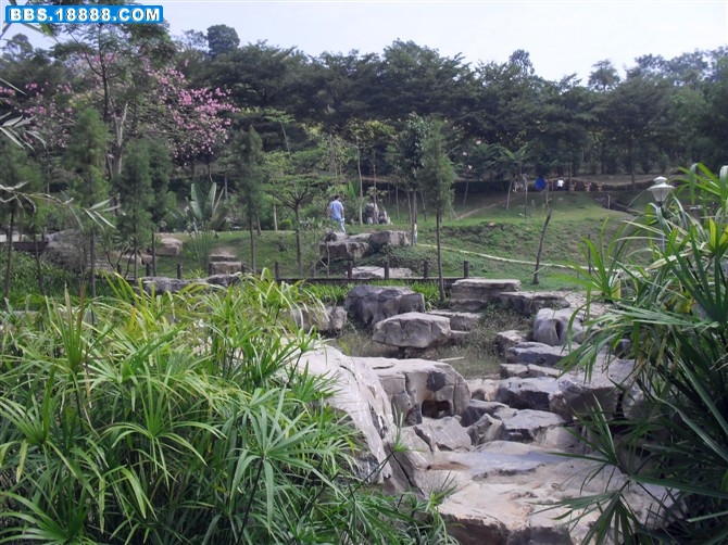石门森林公园&amp;会展中心&amp;邕州.jpg