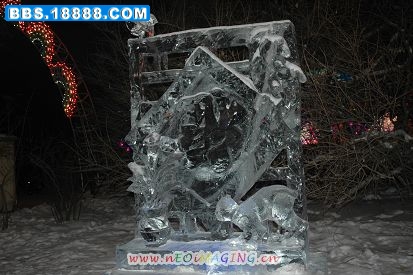 2565.jpg
