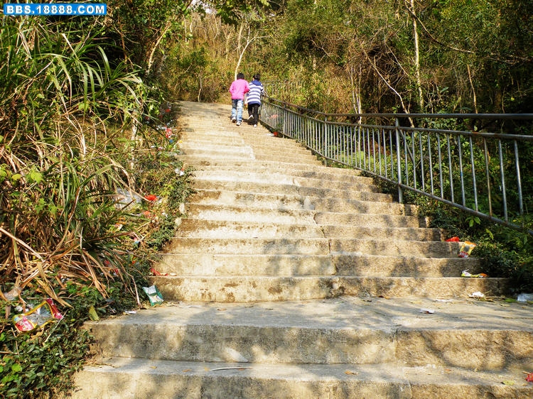 DSCF5300.jpg