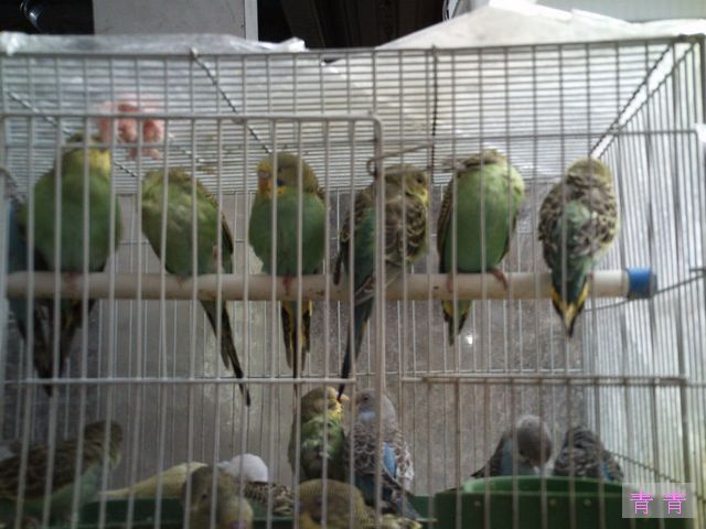 nEO_IMG_PICT2263.jpg