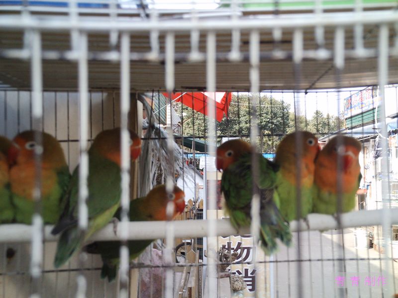 nEO_IMG_PICT1289.jpg