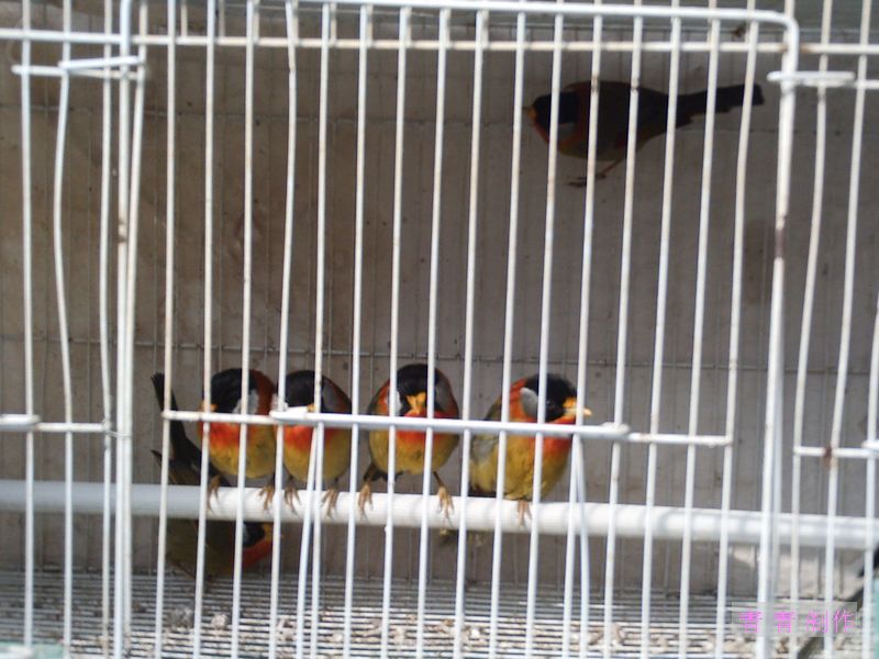 nEO_IMG_PICT1304.jpg
