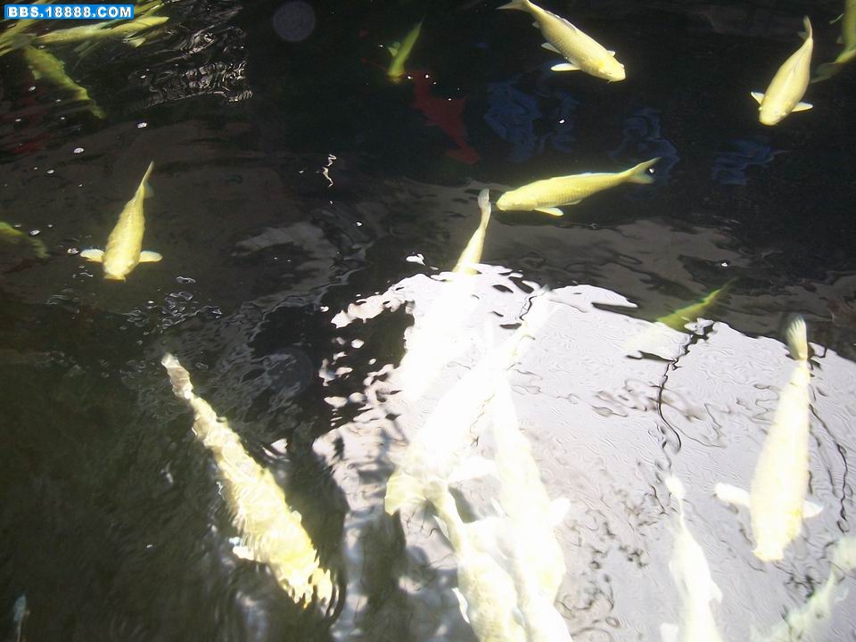 100_5999.JPG