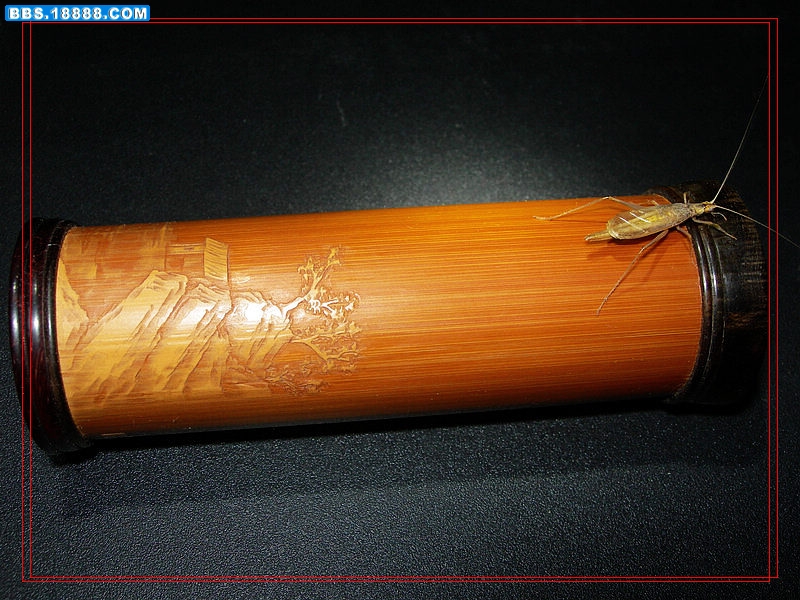 DSCN5707.jpg