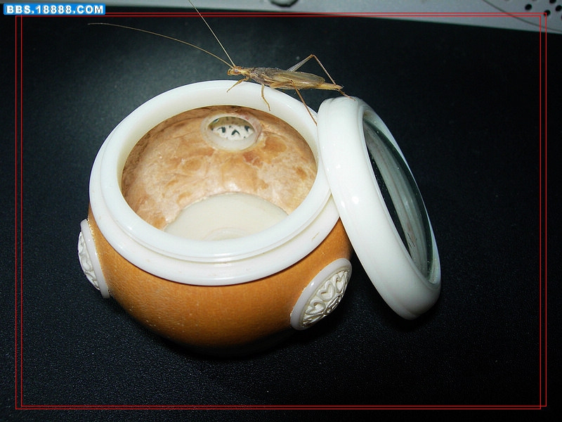 DSCN5709.jpg