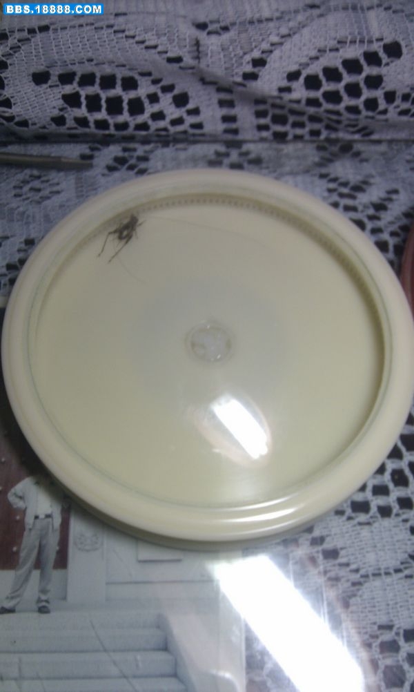 IMAG0038.jpg
