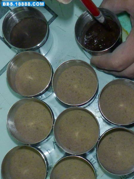 P1000787.jpg