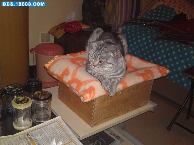 20110209727.JPG