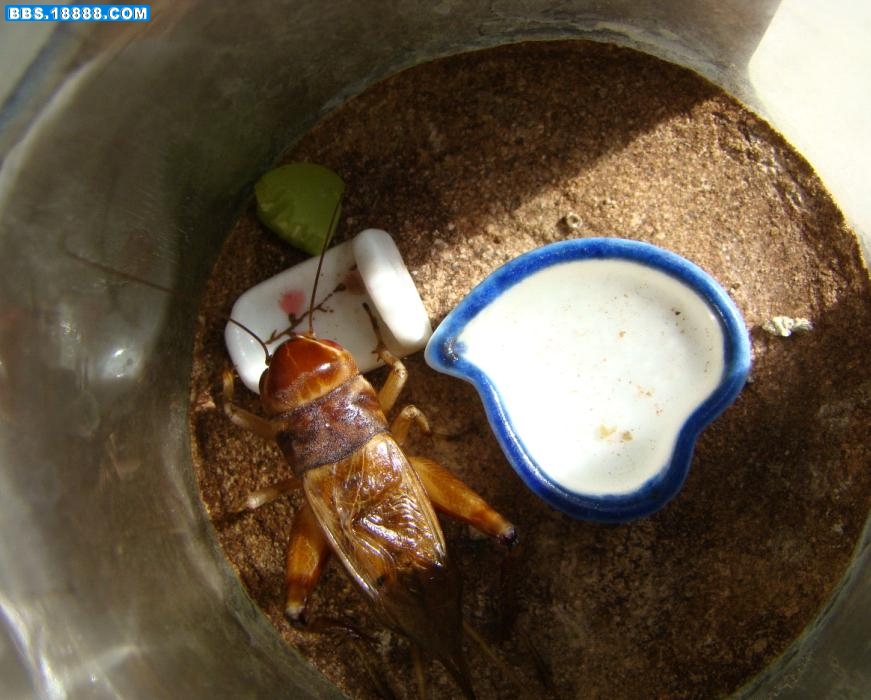第六条2.jpg