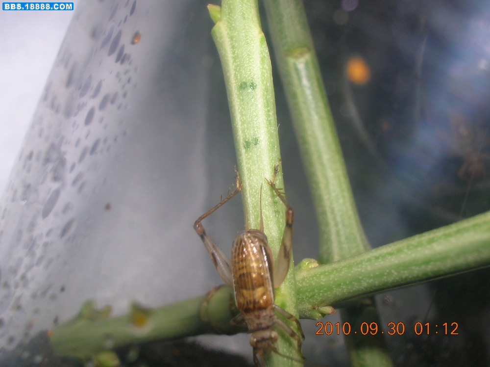 DSCN9630.jpg