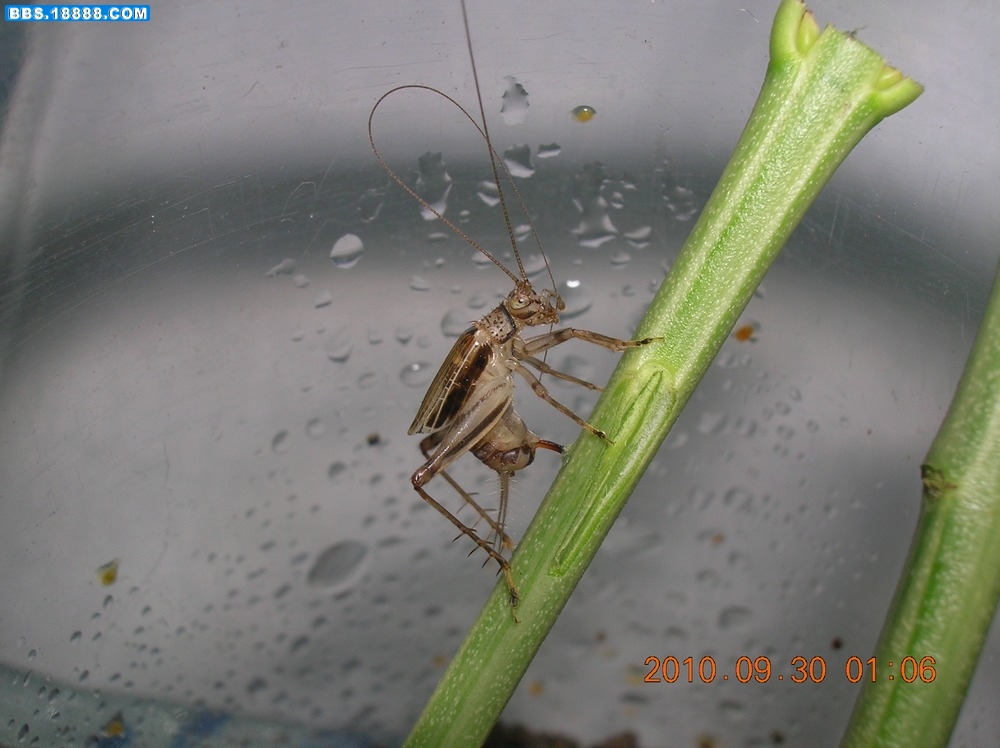 DSCN9628.jpg