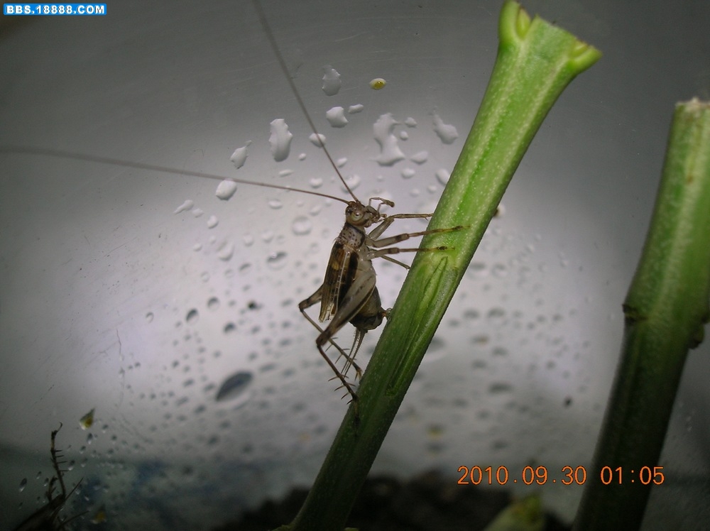 DSCN9624.jpg