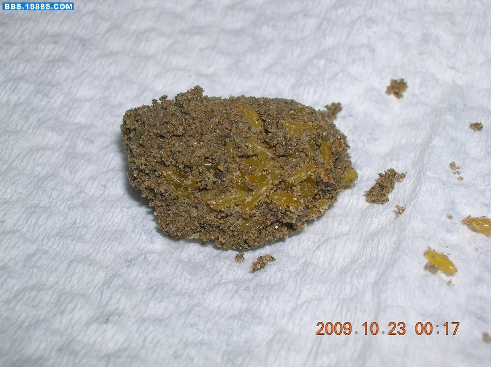 DSCN7137.jpg